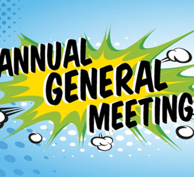 The Wee Interactive AGM
